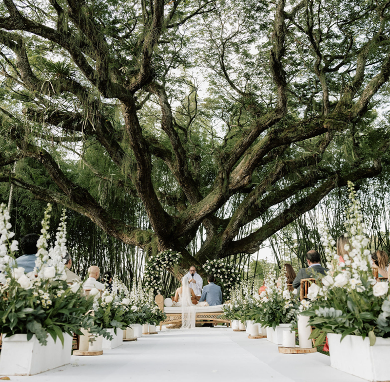 Ana C Wedding Planner